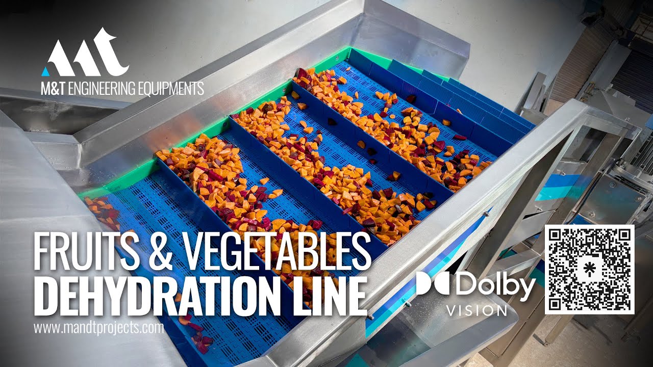 Continues Dehydration Line, Dehydration Line, Fruits And Vegetable Dehydration, IQF, Blancher.