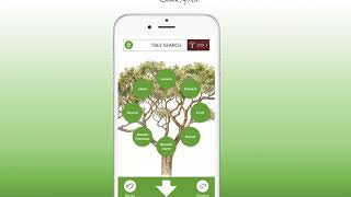 The TreeApp - Refine Your Search