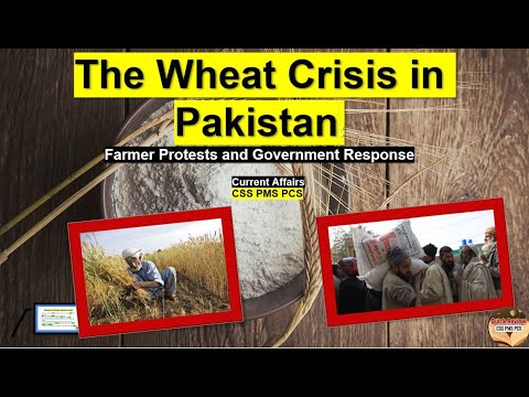 The Wheat Crisis in Pakistan: Farmer Protests and Government Response ...