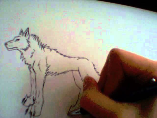 Hoe Teken Je Een Wolf? - Youtube