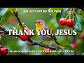 THANK YOU, JESUS📖  Peaceful Piano Worship and Calming Bird Sounds for Prayer and Devotional