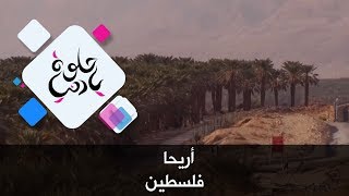 أريحا - فلسطين - حلوة يا دنيا