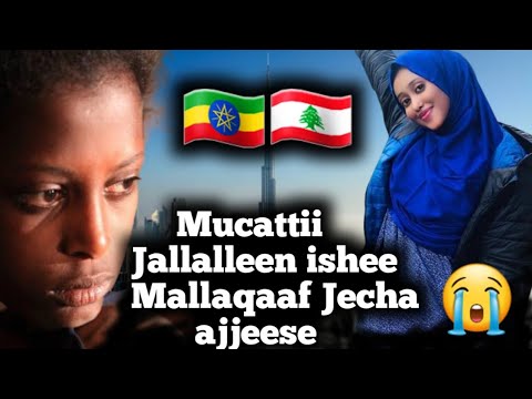 Jaalalleen Ishee Qarshii 50 000 Iraa Nyaatee Gaafa Isheen Biyaatti Galtu Waraanee Ajjeese