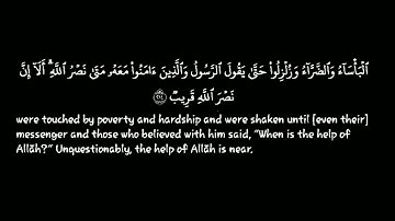 سورةالبقرة| الآيات {214-215}|القارئ: مشاري راشد العفاسي|قرآن خلفية سوداء |كروما