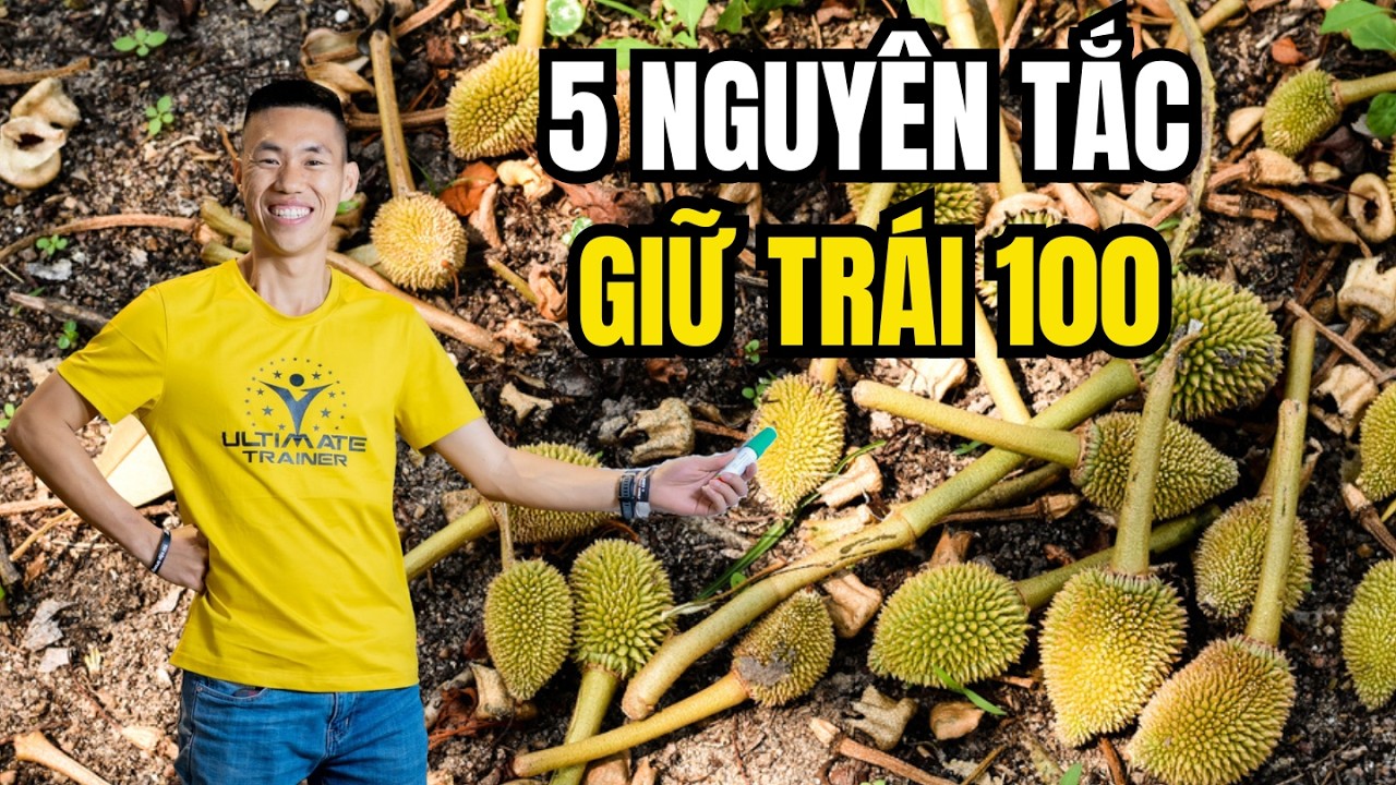 Tôi đã giảm rụng trái sầu riêng 100% từ 5 nguyên tắc từ chuyên gia sinh lý thực vật | Phạm Đức Thiện