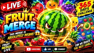 🔴 LIVE | 🍉 THIS WATERMELON MERGE WENT CRAZY! 😱🔥 365 DAYS CHALLENGE | FRUIT MERGE