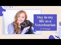 Day in my Life as a Veterinarian! | BellaVet