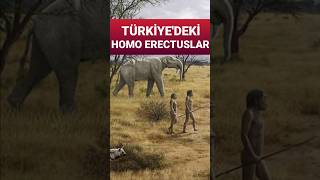 Kocabaş Fosili ve Türkiye'nin Paleoantropolojik Mirası Resimi