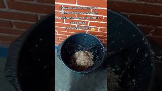 Desperdício De Comida Na Merenda Da Escola.