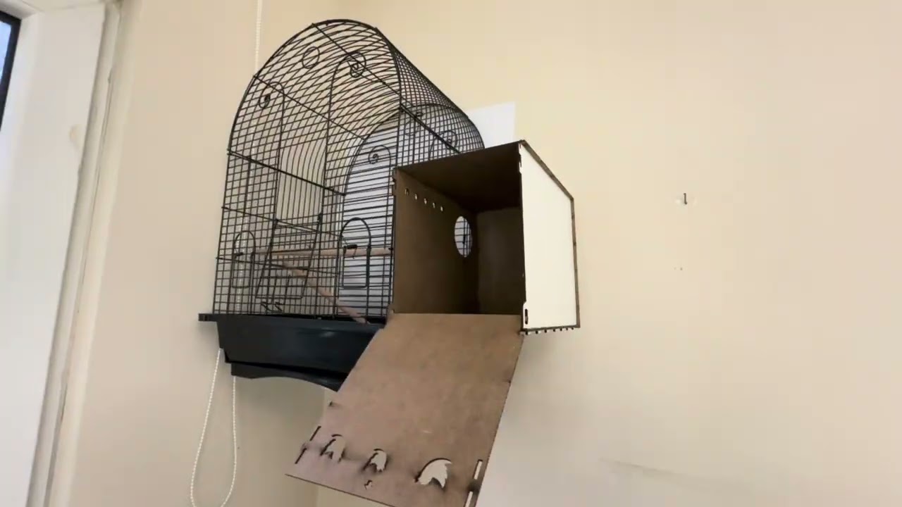 جبت زوج كنيور 😍😍 كيف حليت مشكلة صوتهم المزعج 😰