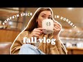 FALL VLOG 🍂🍁☕️ PUMPKIN SPICE IN KOREA! Daiso shop with me + travel skincare