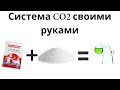 Co2 для аквариума своими руками. Брага