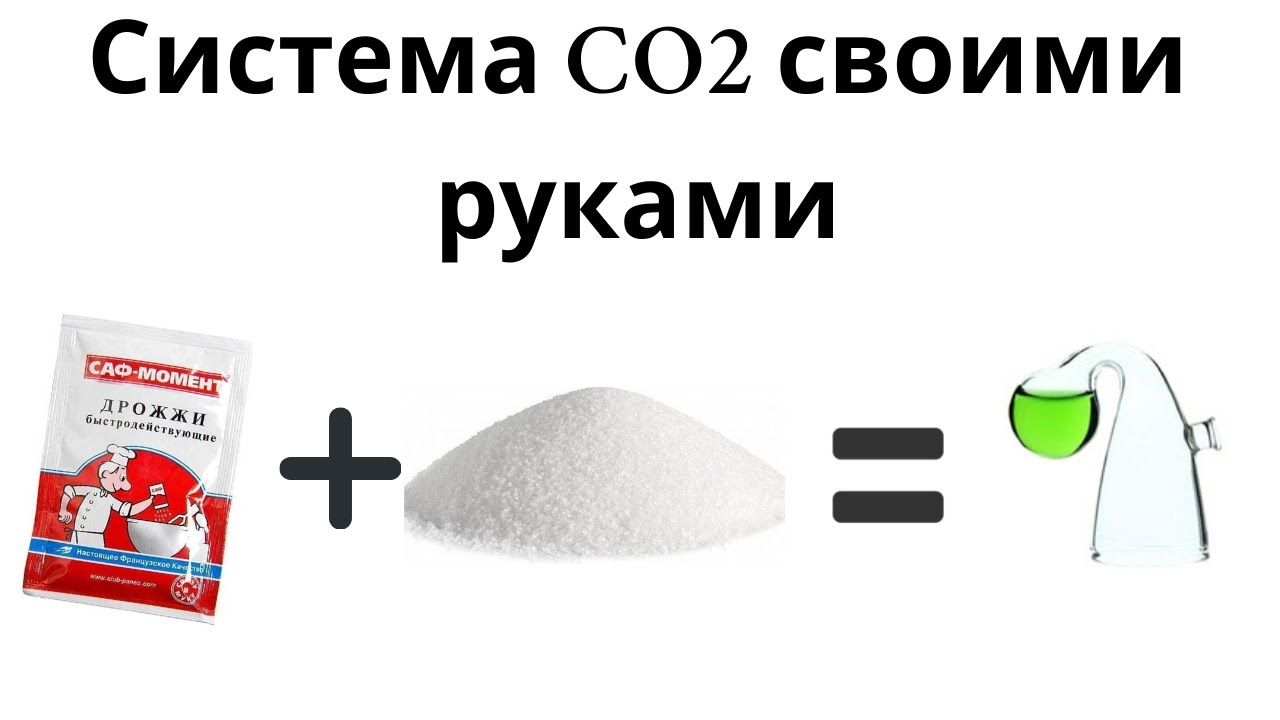 Система СО2 своими руками