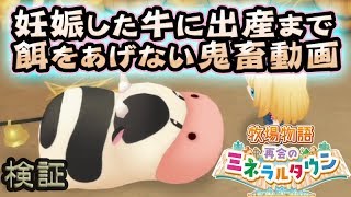 妊娠した牛にごはんをあげなかったら産まれる？再会のミネラルタウン牧場物語5 screenshot 3