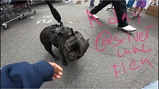A day at Silverlake flea