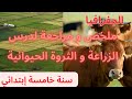 ملخص و مراجعة شاملة لدرس الزراعة و الثروة الحيوانية جغرافيا سنة خامسة إبتدائي
