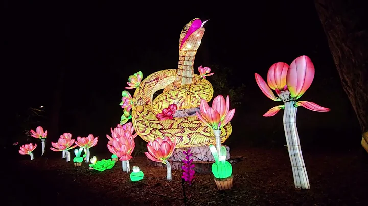 WildLanterns at Woodland Park Zoo, Seattle, WA in 4K