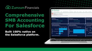 Zumzum Financials, Comprehensive Accounting For Salesforce