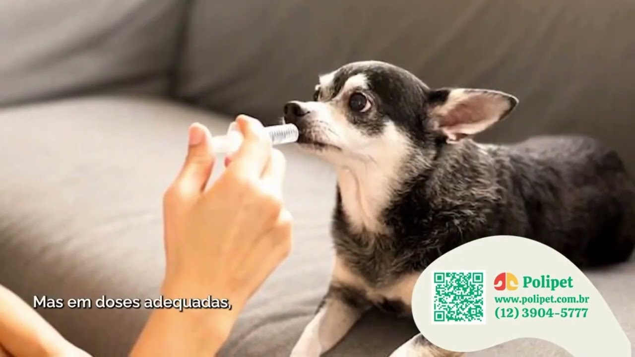 DRAMIN PARA CACHORRO PODE? - YouTube