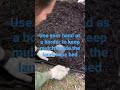 Install Mulch Like A Pro With These Tips Tricks In 2023 Install Mulch Like A Pro With These Tips Tricks In 2023