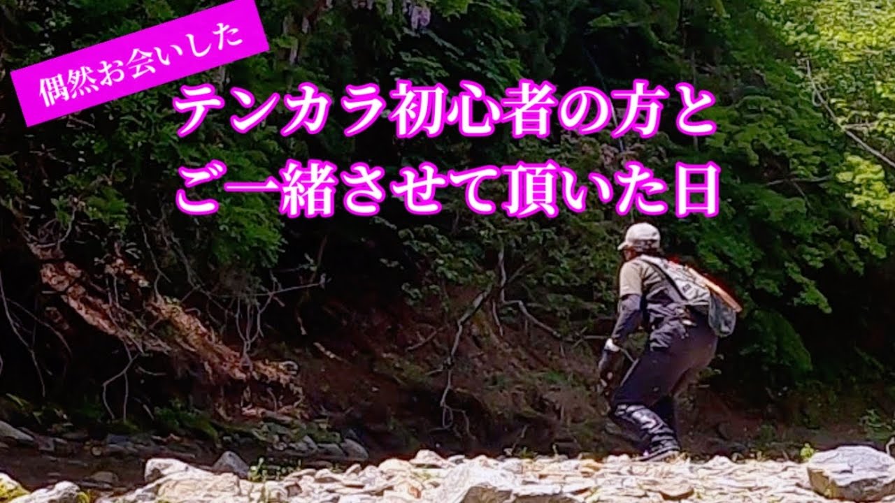 【テンカラ釣り】初めて買う竿は安価品でいいのかな？