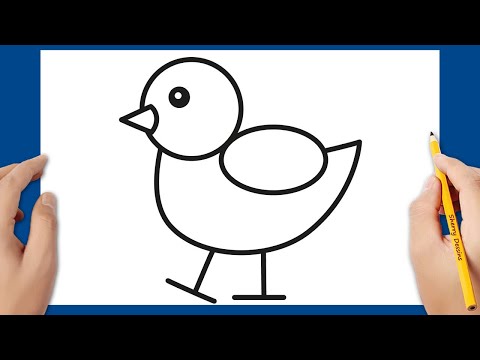 Vidéo: Comment Dessiner Un Caneton