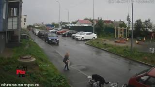 Бездомная собака покусала ребёнка Бездомная собака покусала ребёнка