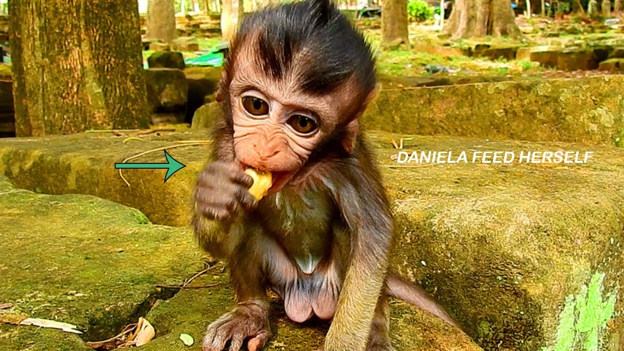 Baby Daniela Feed Herself Coz Her Mom Doesn't Care About Her Everyday