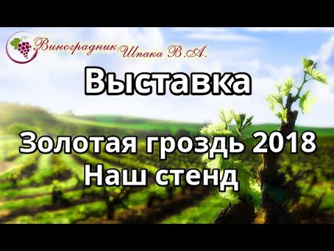 Выставка "Золотая гроздь" 2018 года в г.Запорожье