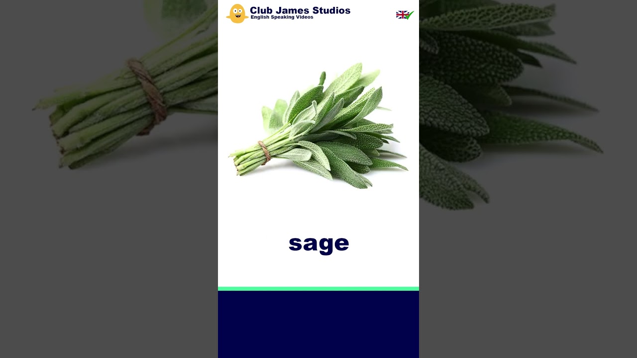 Английский словарь для детей - HERBS