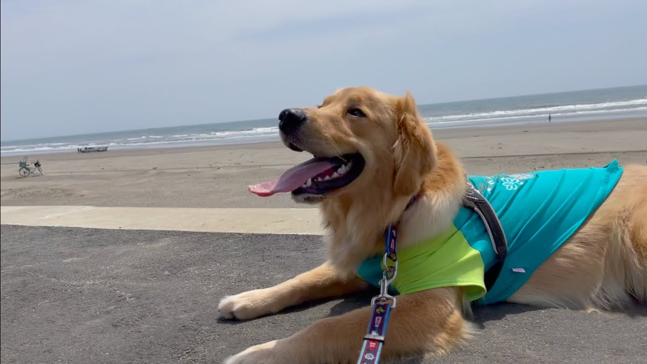 千葉県、九十九里海岸へ行ってきた