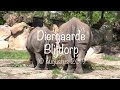 Dagje Diergaarde Blijdorp / Rotterdam Zoo August 2019