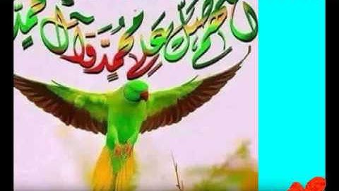سورة الملك تلاوة للقارء الشيخ هاني عيد