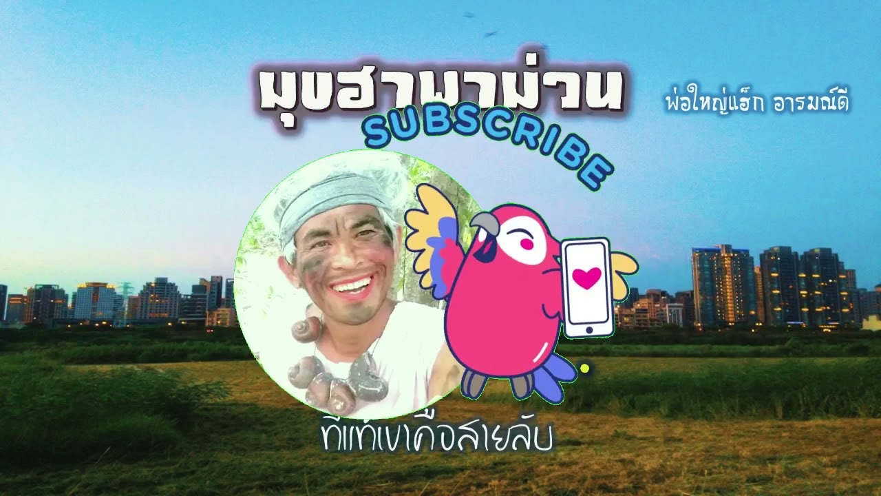 รวมชุดฮา ชุดเก่า 2 , ไปแจ้งความ ,  น้ำมันแพง , ปัญหาชีวิตคู่ , แชนแนลฮา