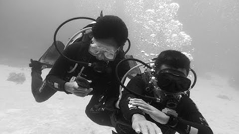 MantaWatch Internship Program 2016 - Video Diary - Week 1