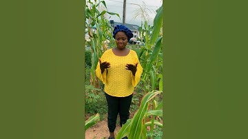 video output 97C0B8E9 4E15 4A92 95E7 66ACC90B5965 1