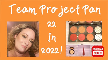 Team project Pan 2022 April Update  #TeamProjectPan2022 #ProjectPan