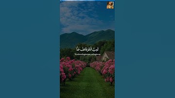 آيات تريح القلب وتشرح الصدر🌷 | قرآن كريم مكتوب ومسموع