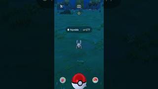 Catching a Nymble pokemon in the nature #pokemon #pokemongo