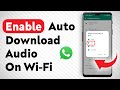 How To Enable Audio Auto Download When Connected On Wi Fi On WhatsApp