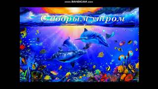 🐠Доброе Утро🐬 Музыкальная Открытка🎶