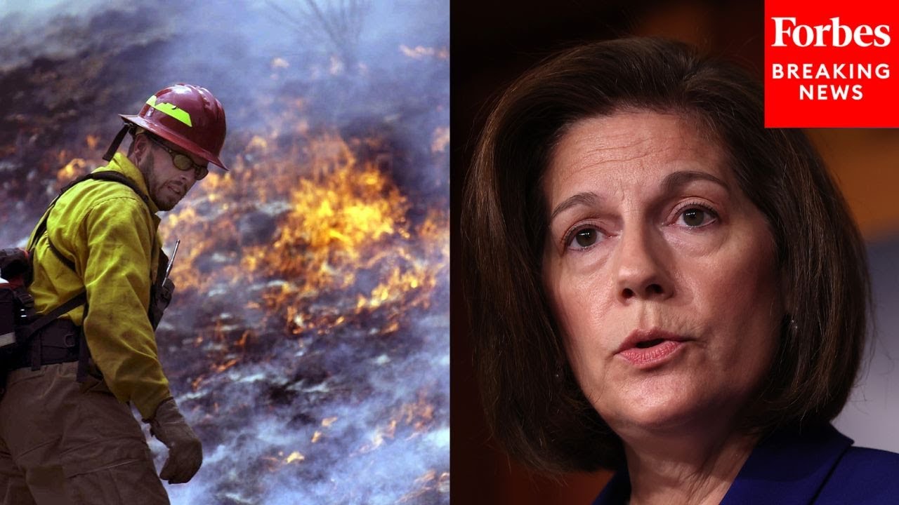 ‘We Gotta Get Back On Track’: Catherine Cortez Masto Underscores Need ...