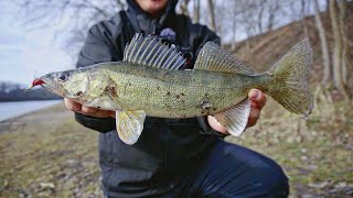 What You Need to Know to Catch Spring Walleyes (Pumping Fly)