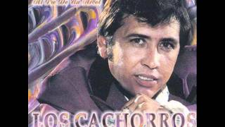 Video thumbnail of "Los Cachorros De Juan Villarreal Me Voy Me Voy"