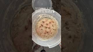 How to Make Sourdough Part 2 - Adding salt after autolyse