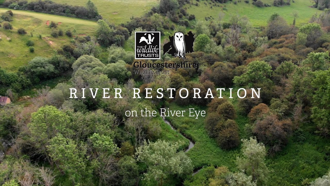 River restoration on the River Eye - YouTube