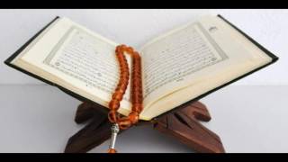72 SURAT JINNI TRANSLATED BY SHIEAHK ISMAEIL SULAIMAN NKATA