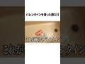 【バレンタイン】貰ったチョコの数で札束風呂やってみた#バレンタイン #高校生 #vlog #雑学