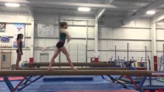 Training Beam Dismount: Rose Hoffman