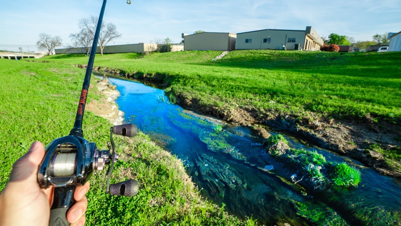 SIGHT FISHING for Bass in TINY CLEAR CREEK